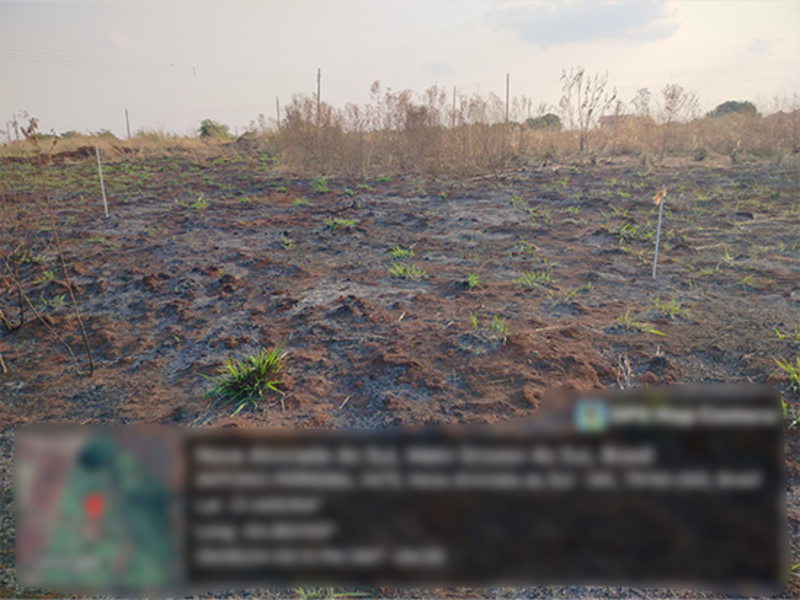 Terreno - Nova Alvorada do Sul - MS, localizado em Nova Alvorada Do Sul - MS