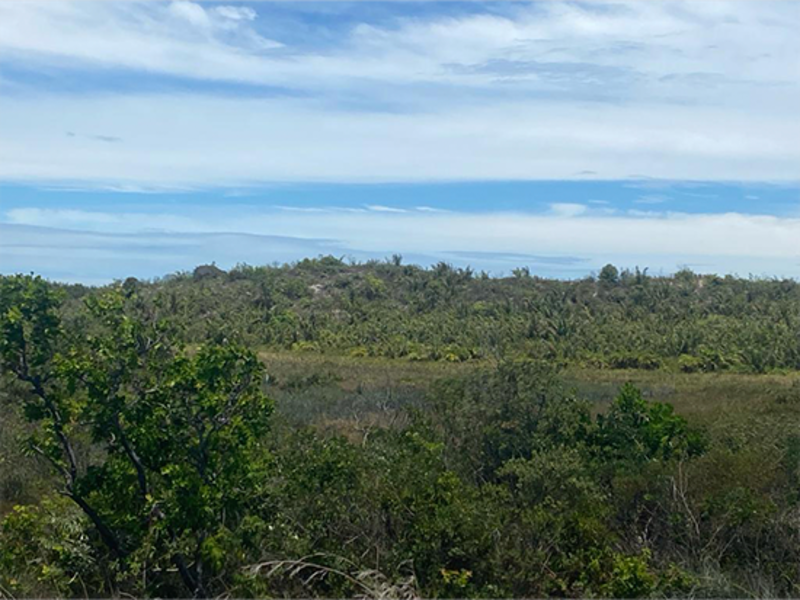 Terreno - Itaporanga D'ajuda - SE, localizado em Itaporanga D'ajuda - SE, bairro Loteamento Vila Rica do Abais