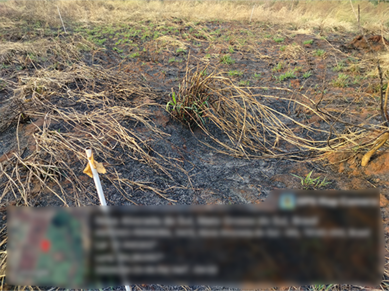 Terreno - Nova Alvorada do Sul - MS, localizado em Nova Alvorada Do Sul - MS