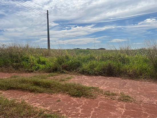 Terreno - Nova Alvorada do Sul - MS