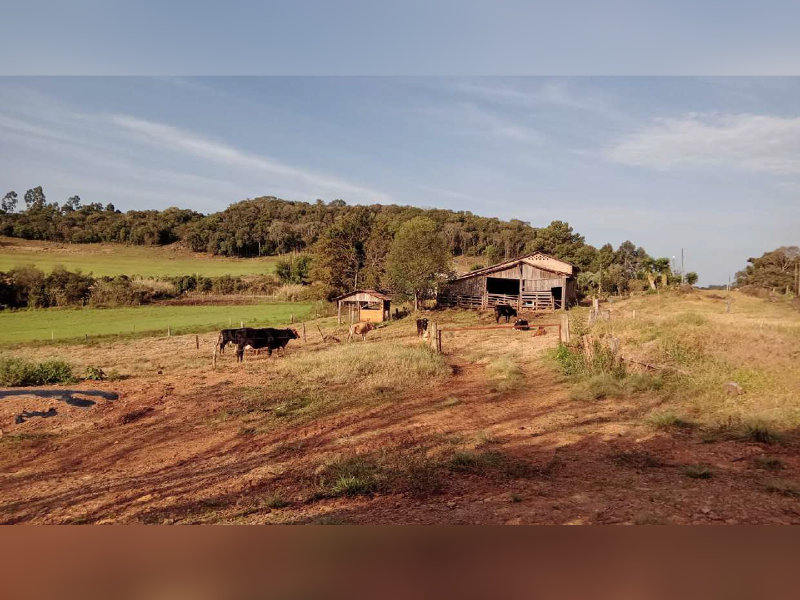 Imagem do imóvel Área Rural - Celso Ramos/SC Matrícula 11.702