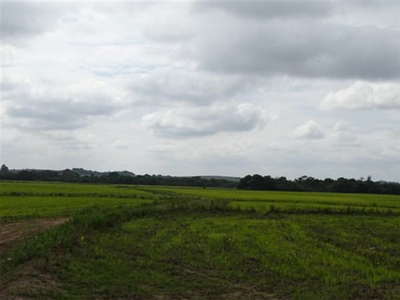 Terreno - Encruzilhada do Sul - RS, localizado em Encruzilhada Do Sul - RS