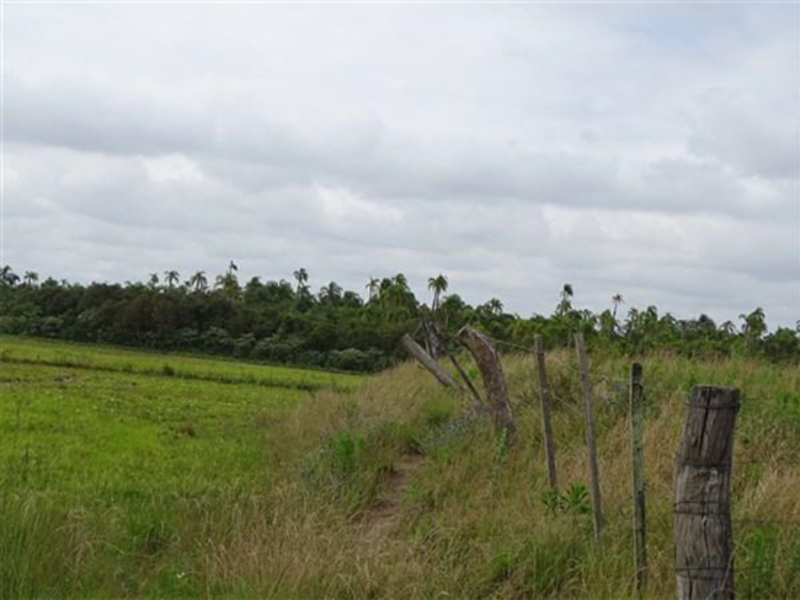 Terreno - Encruzilhada do Sul - RS, localizado em Encruzilhada Do Sul - RS