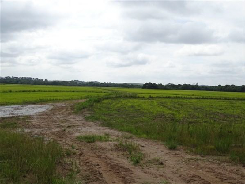 Terreno - Encruzilhada do Sul - RS, localizado em Encruzilhada Do Sul - RS