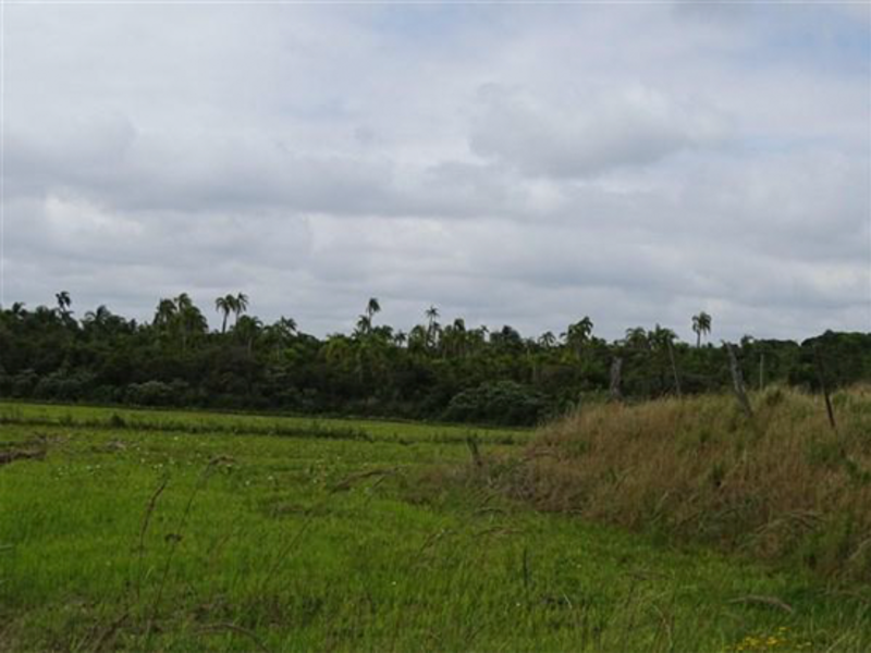 Terreno - Encruzilhada do Sul - RS, localizado em Encruzilhada Do Sul - RS