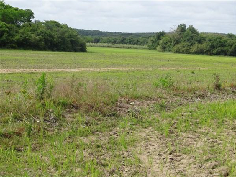 Terreno - Encruzilhada do Sul - RS, localizado em Encruzilhada Do Sul - RS