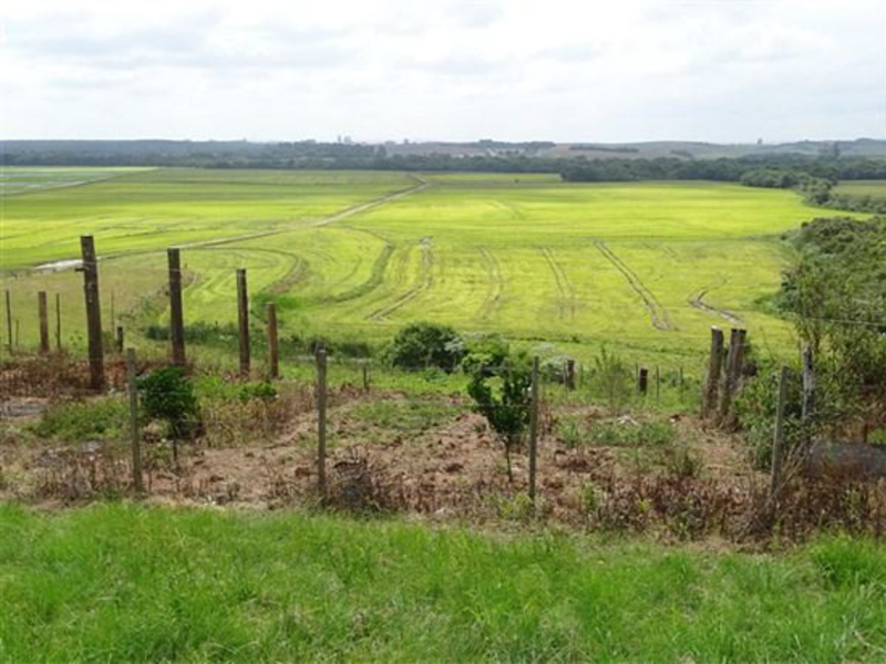 Terreno em Leilão em Encruzilhada Do Sul / RS - 189752