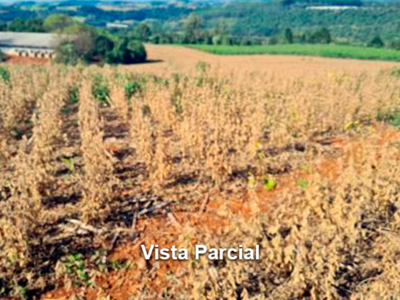 Área rural concórdia sc 11.544 - foto 4