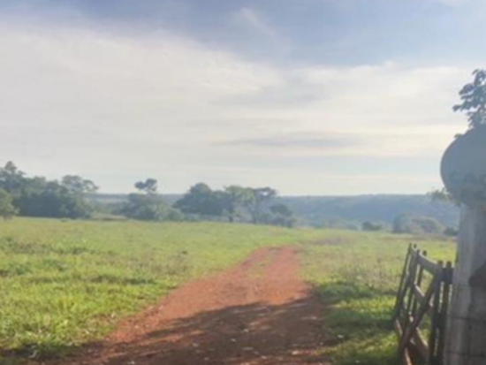 Imóvel rural em leilão em Arenápolis