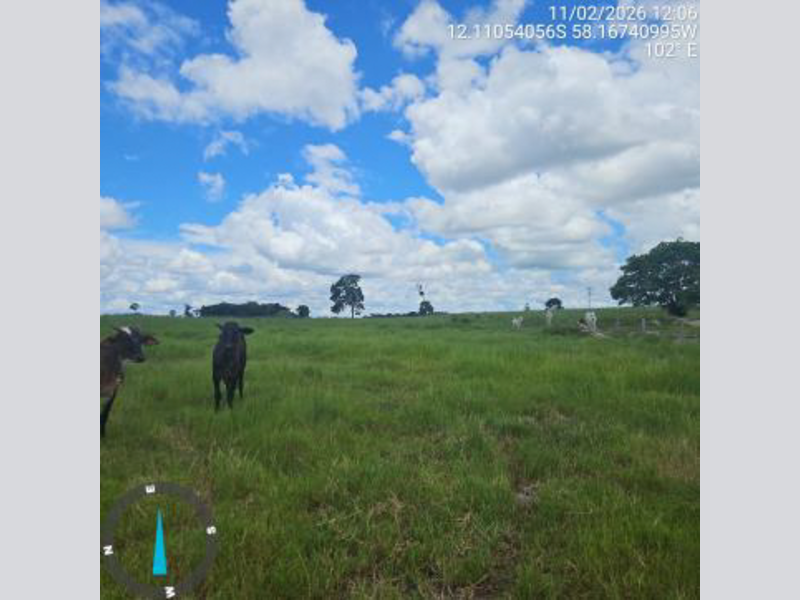 Terrenos - Brasnorte - MT, localizado em Brasnorte - MT