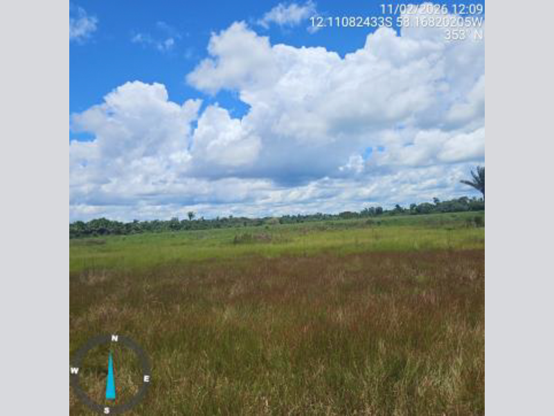 Terrenos - Brasnorte - MT, localizado em Brasnorte - MT