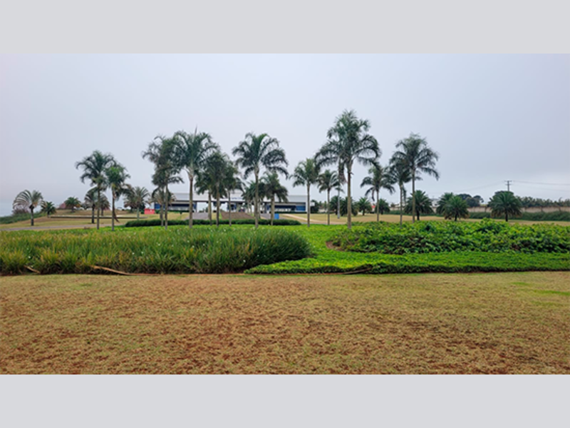 Casa - Paranapanema - SP, localizado em Paranapanema - SP