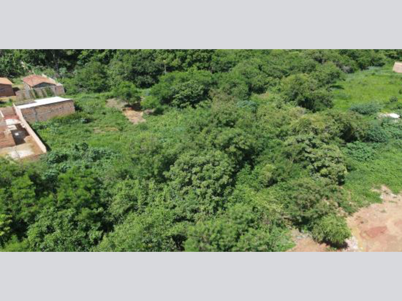 Casa - Dom Eliseu - PA, localizado em Dom Eliseu - PA, bairro Jardim