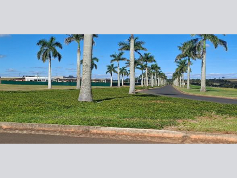 Casa - Paranapanema - SP, localizado em Paranapanema - SP