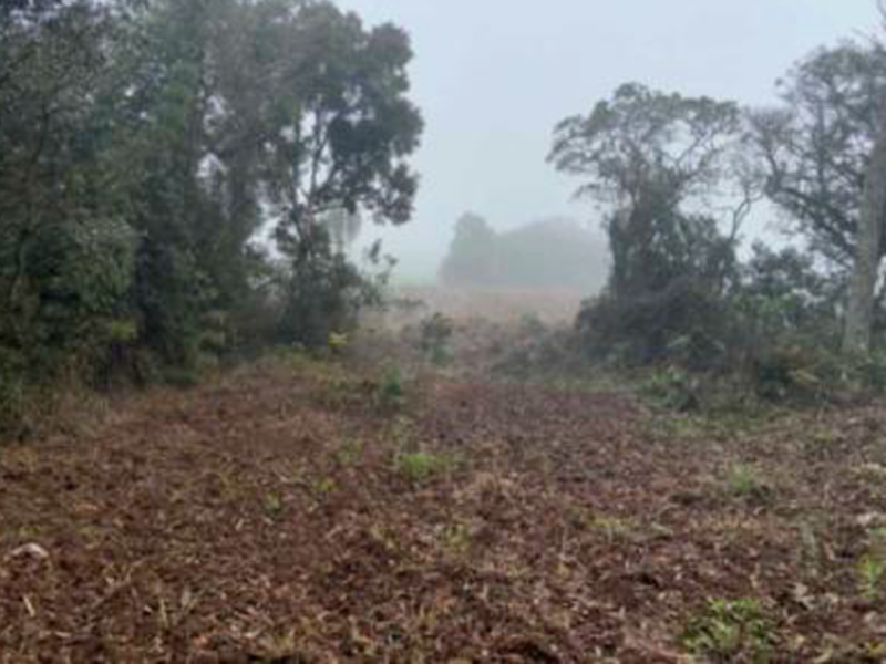 Terreno - Paula Freitas - PR, localizado em Paula Freitas - PR
