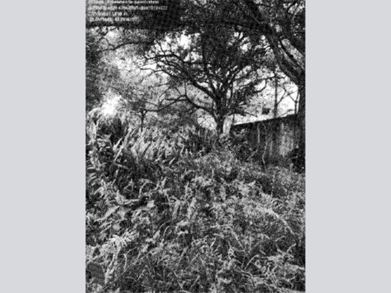 Imagem do imóvel Terreno - Duque de Caxias - RJ