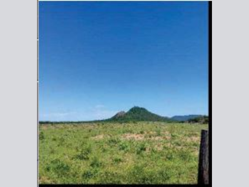 Imóvel Rural em Leilão em Morpará / BA - 192885