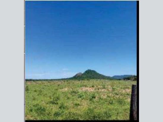 Foto de Imóvel em Morpará (BA)