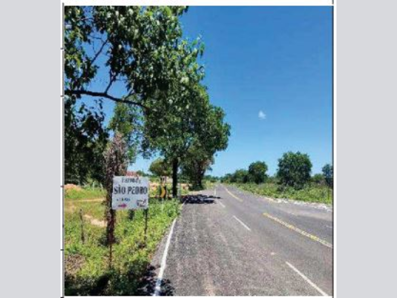 Imóvel Rural em Leilão em Morpará / BA - 192893