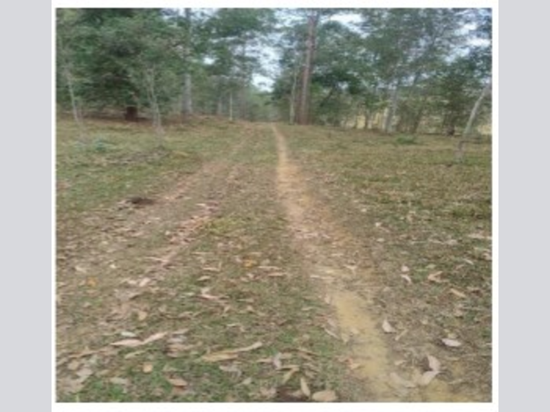 Imóvel Rural em Leilão em Cataguases / MG - 192707