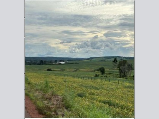 Área Rural - Dom Eliseu - PA