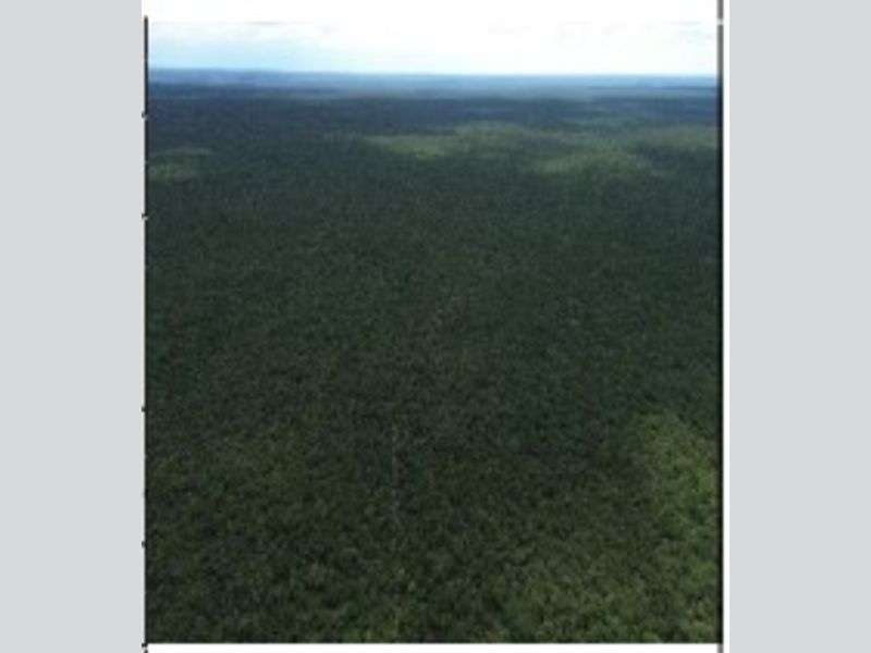Imagem do imóvel Área Rural - Brejo do Piauí - PI