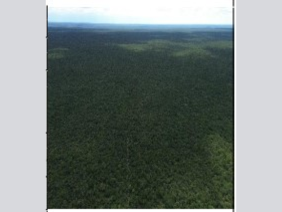 Foto de Imóvel em Brejo Do Piauí (PI)