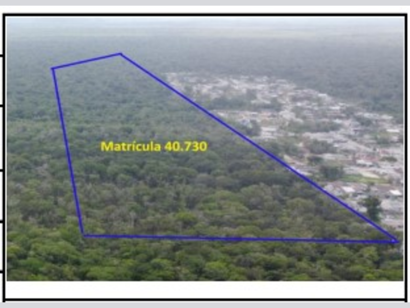 Imagem do imóvel Área Rural - Matinhos - PR