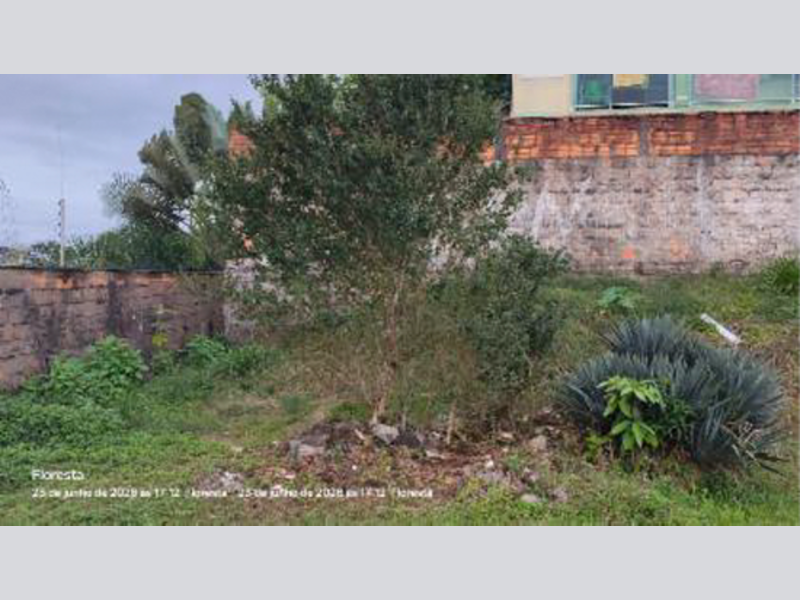 Terreno - Joinville - SC, localizado em Joinville - SC, bairro Floresta