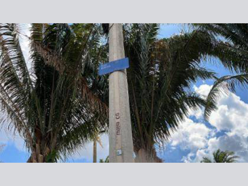 Imagem do imóvel Apartamento - Araraquara - SP
