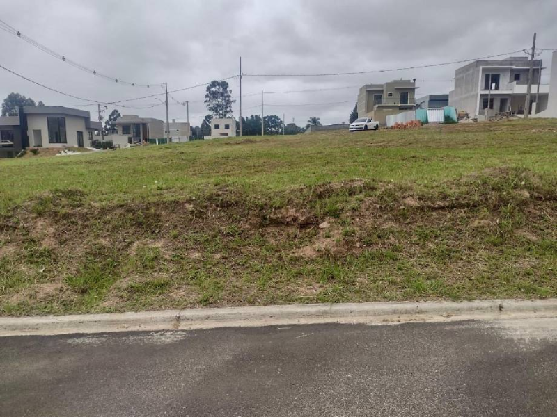 Loteamento - Ponta Grossa - PR, localizado em Ponta Grossa - PR, bairro Colônia Dona Luíza