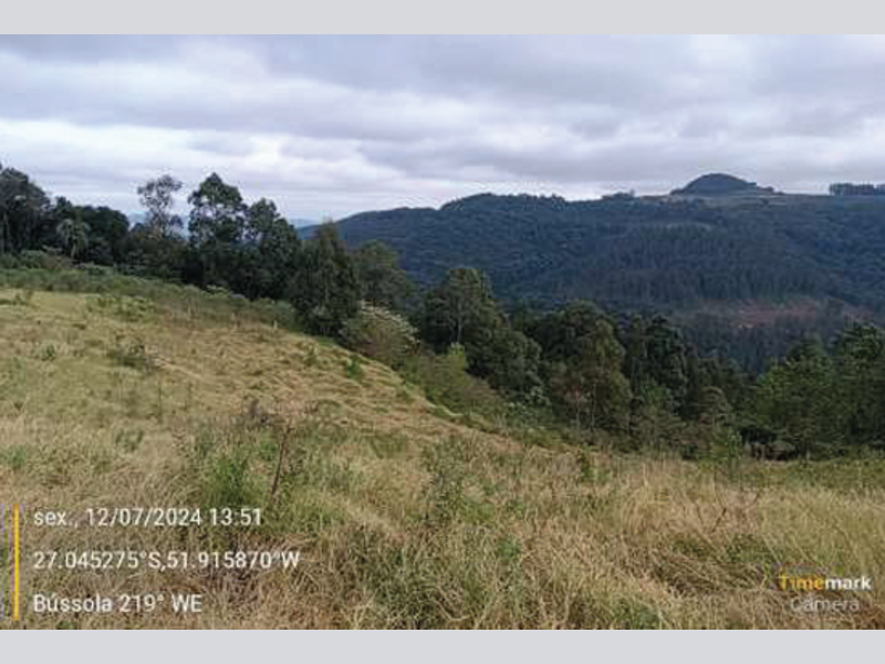 Fazenda - Irani - SC, localizado em Irani - SC