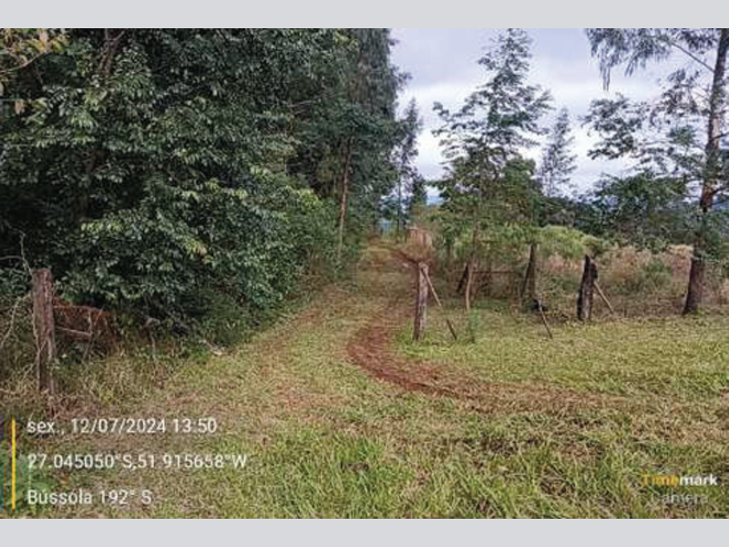 Fazenda - Irani - SC, localizado em Irani - SC