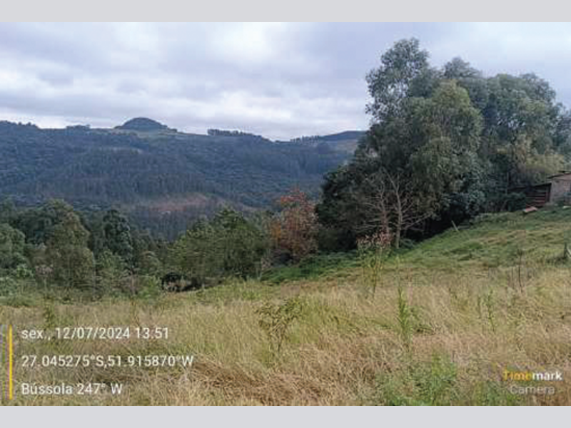 Fazenda - Irani - SC, localizado em Irani - SC