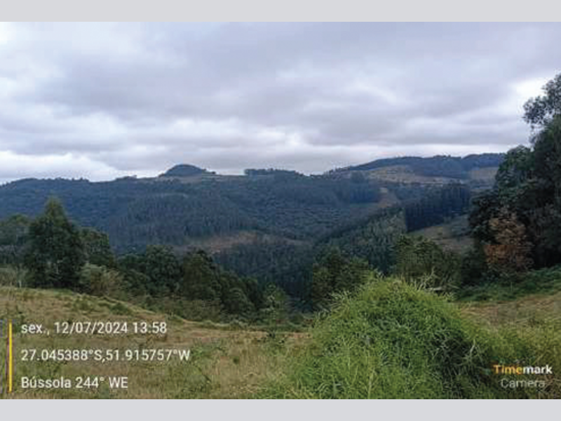 Fazenda - Irani - SC, localizado em Irani - SC