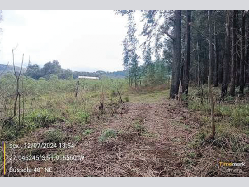 Fazenda - Irani - SC, localizado em Irani - SC