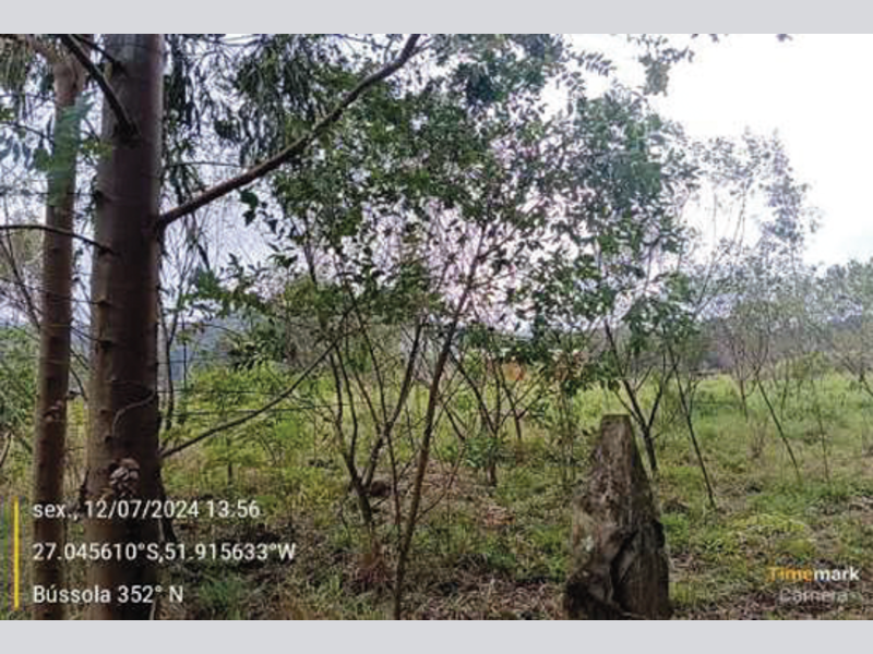 Fazenda - Irani - SC, localizado em Irani - SC