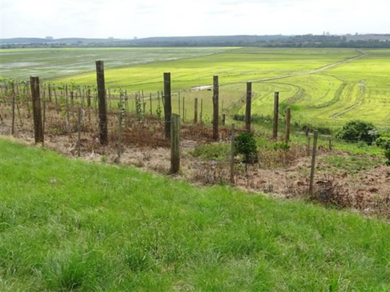 Terreno - Encruzilhada do Sul - RS, localizado em Encruzilhada Do Sul - RS