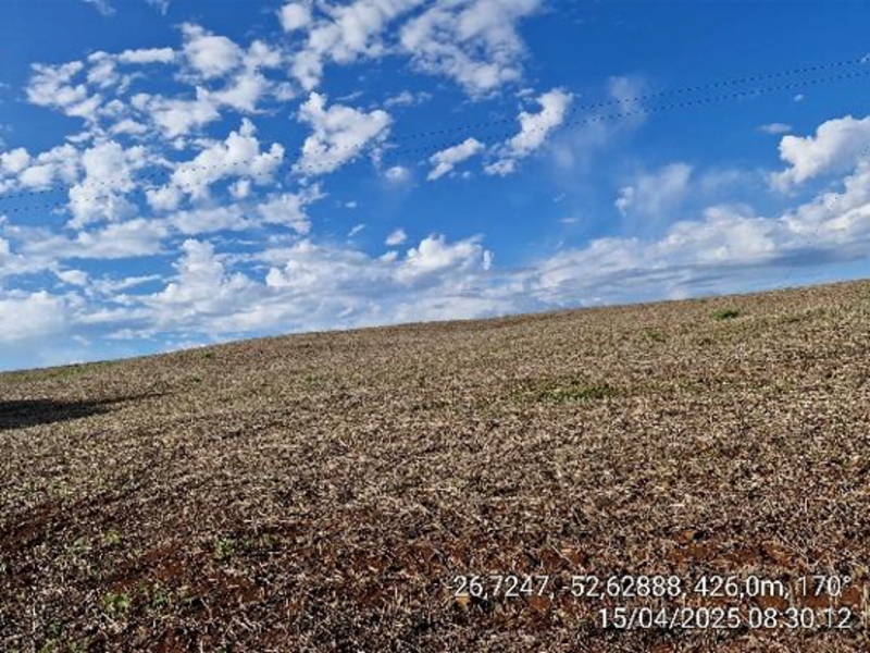 Terrenos - Quilombo - SC, localizado em Quilombo - SC, bairro Linha Nova Brasília