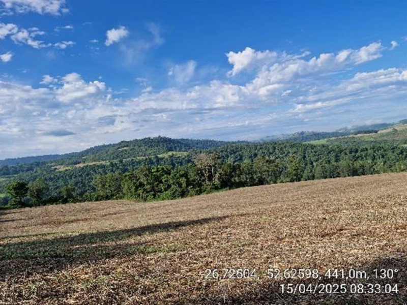 Terrenos - Quilombo - SC, localizado em Quilombo - SC, bairro Linha Nova Brasília