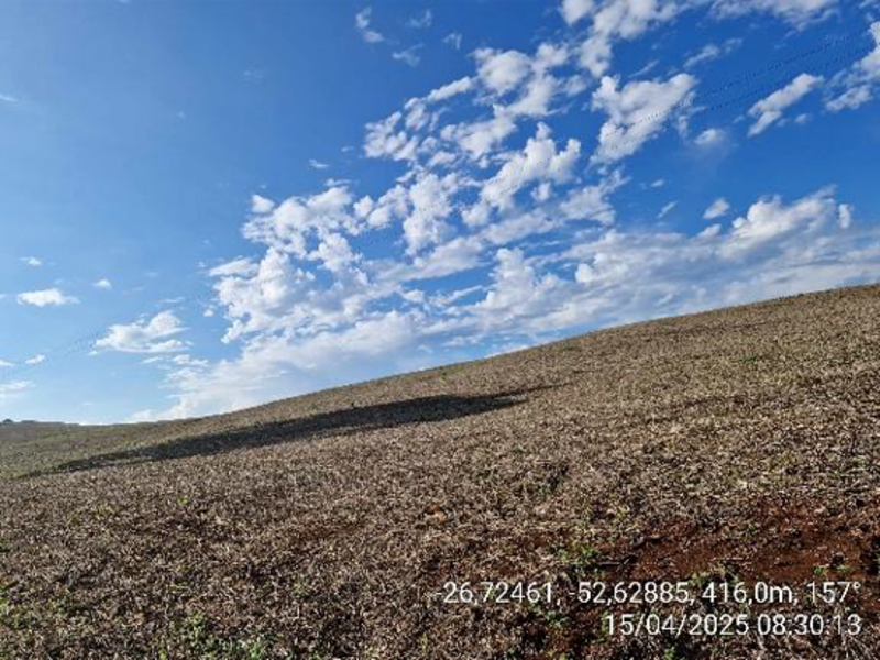 Terrenos - Quilombo - SC, localizado em Quilombo - SC, bairro Linha Nova Brasília