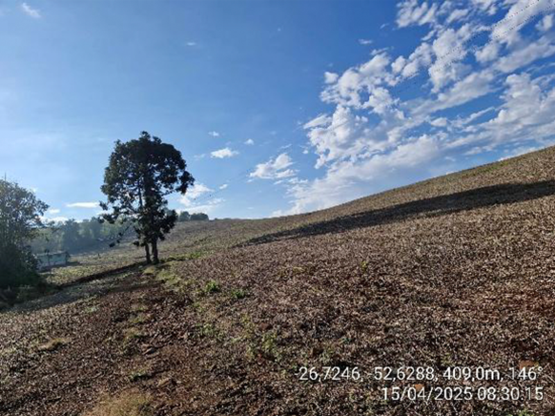 Imagem do imóvel Terrenos - Quilombo - SC