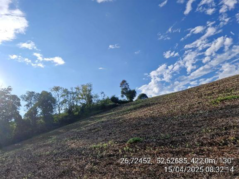 Terrenos - Quilombo - SC, localizado em Quilombo - SC, bairro Linha Nova Brasília