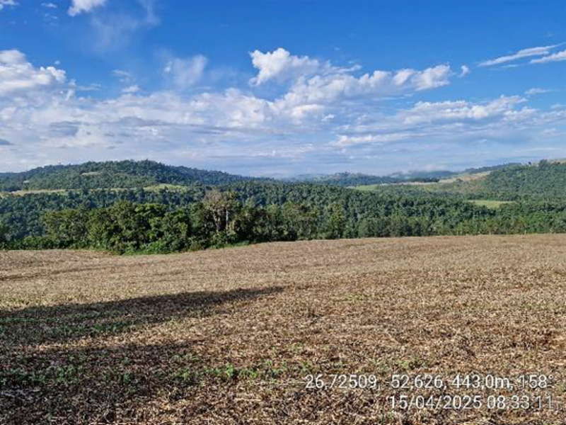 Terrenos - Quilombo - SC, localizado em Quilombo - SC, bairro Linha Nova Brasília