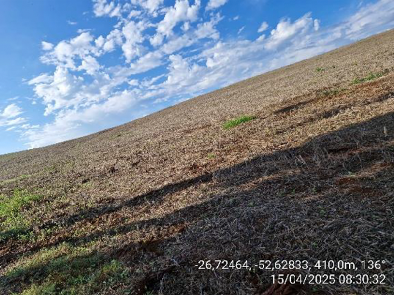 Terrenos - Quilombo - SC, localizado em Quilombo - SC, bairro Linha Nova Brasília