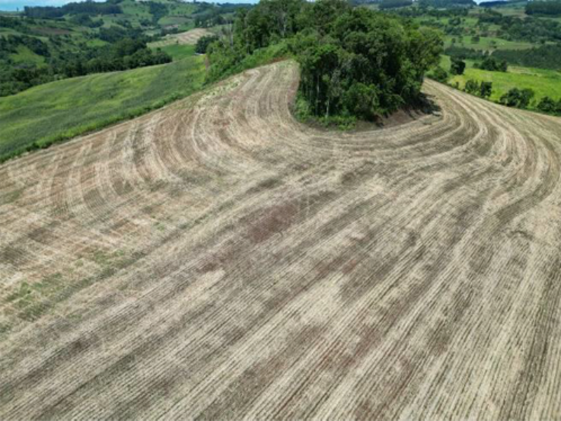 Terreno - Jardinópolis - SC, localizado em Jardinópolis - SC