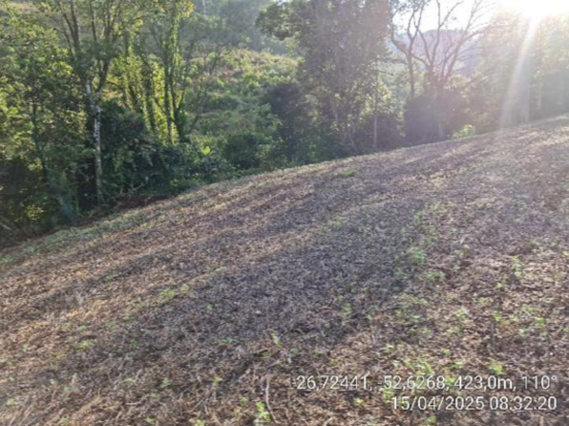 Terrenos - Quilombo - SC, localizado em Quilombo - SC, bairro Linha Nova Brasília