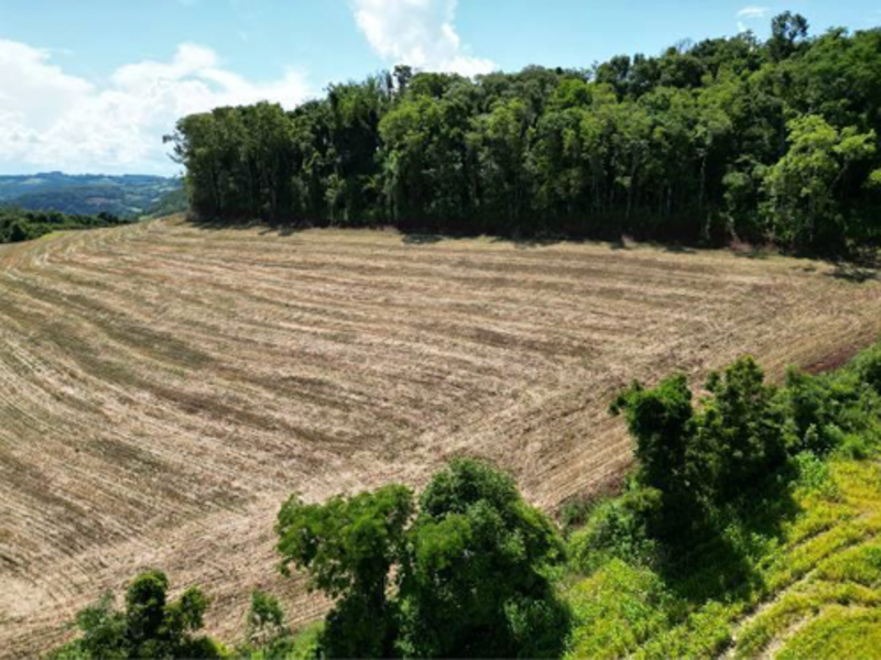 Terreno - Jardinópolis - SC, localizado em Jardinópolis - SC