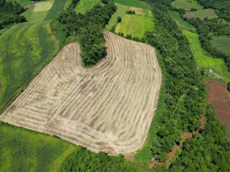 Terreno - Jardinópolis - SC, localizado em Jardinópolis - SC