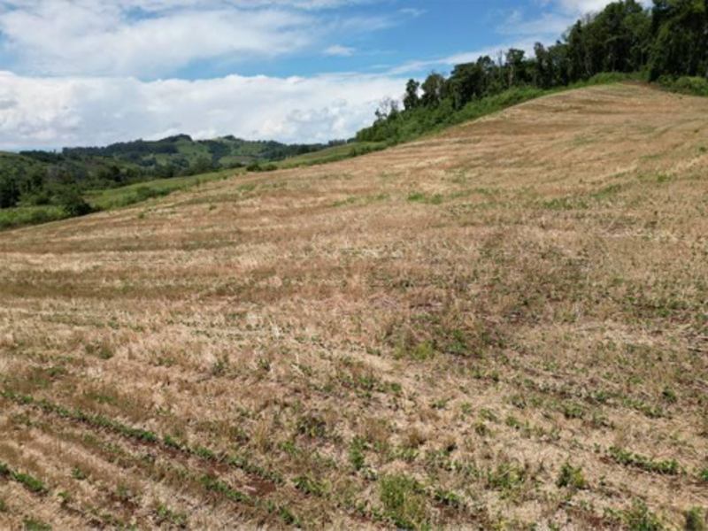 Terreno - Jardinópolis - SC, localizado em Jardinópolis - SC